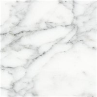 Bianco Venato Marble